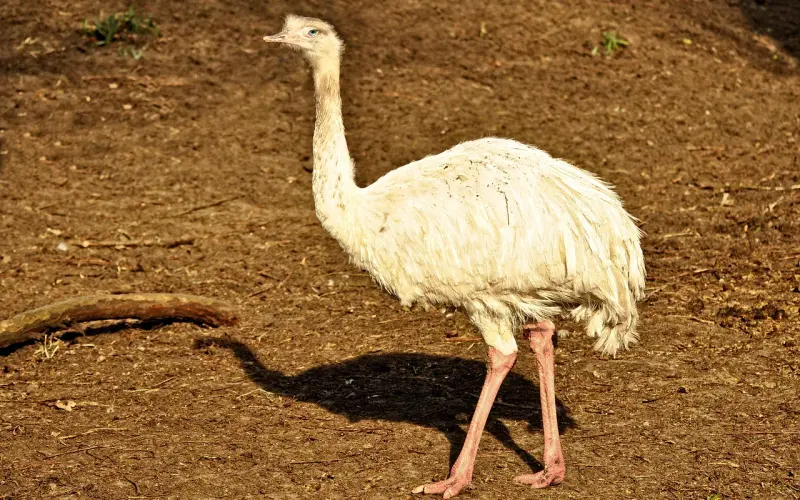 情感咨询师给你支招：怎样离婚避免老公做出过激的行为