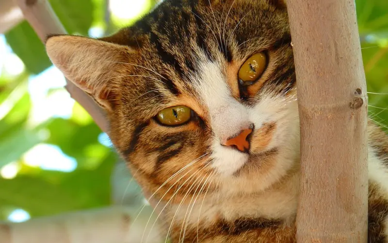 情感疑惑：在一起后经常会为小事吵架，不知道还要不要继续交往下去