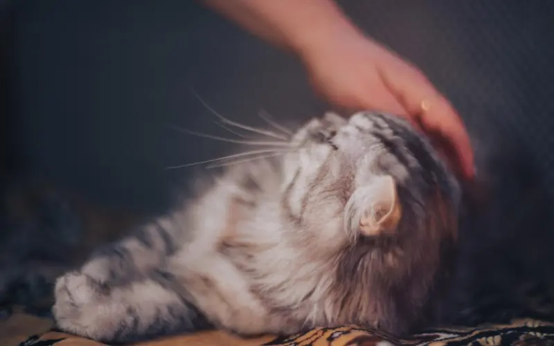 【情感专家】刚加上微信，让你快速和喜欢的女孩子聊嗨