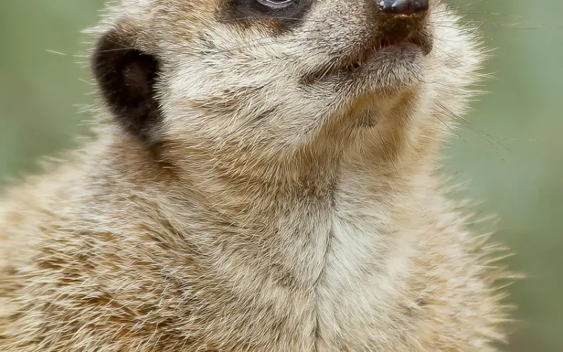 情感专家告诉你：老公出轨怎么办