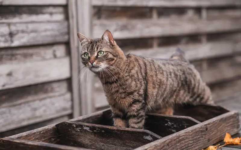 情感挽回秘籍：挽回天秤座爱人心？来个最后的旅游吧