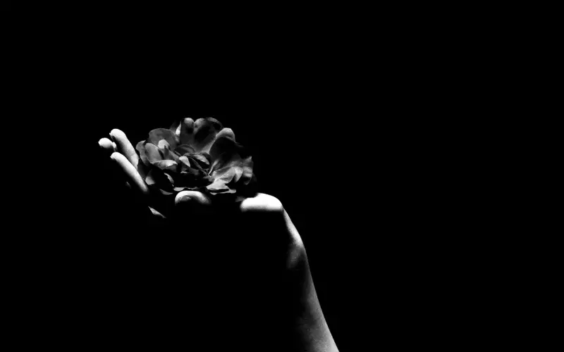 情感：学会这几点你和婆婆相处好，不在是梦