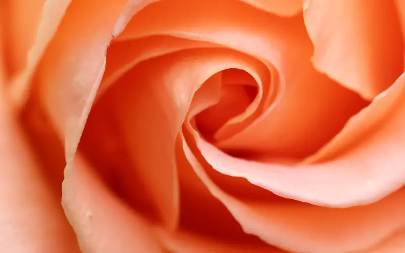 邂逅浪漫爱情,需要搭讪技巧！