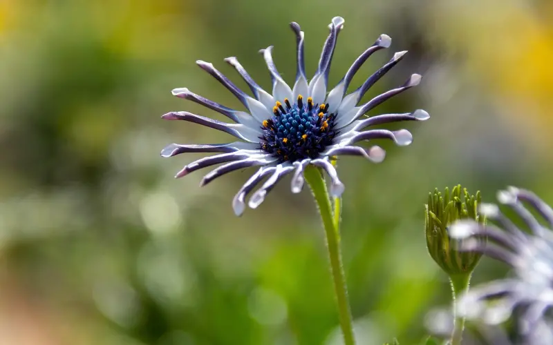 精|百分百成功搭讪妹子的方法，必学！