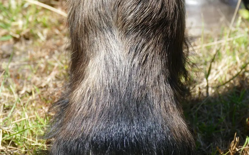 和女生建立条件反射区，让她“不知不觉”爱上你