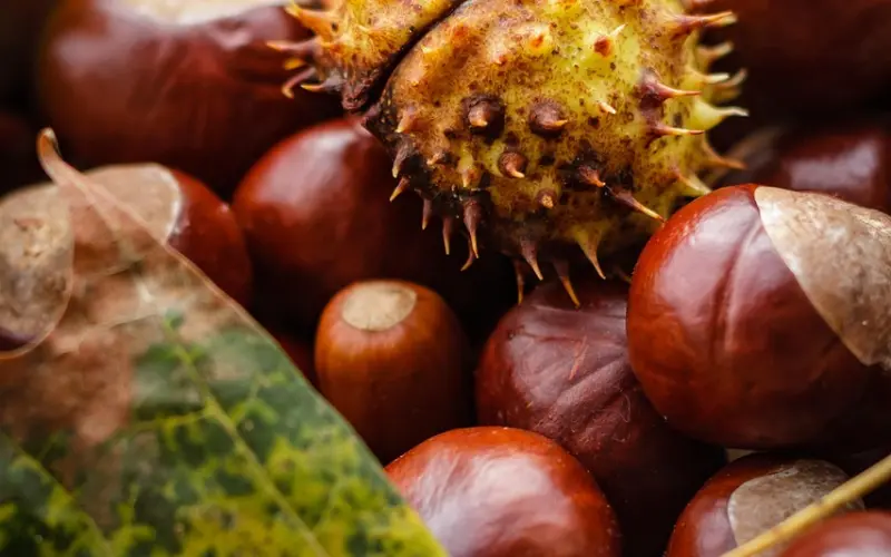 男人即使再宠你，也不要碰他这些底线！