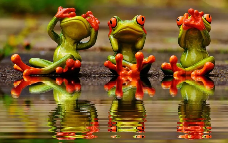 没钱不帅掌握这些方法也可以追到漂亮妹子