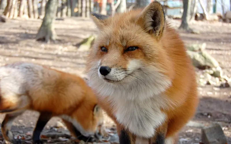 哪怕单身一辈子，也不可能选择这种女人。