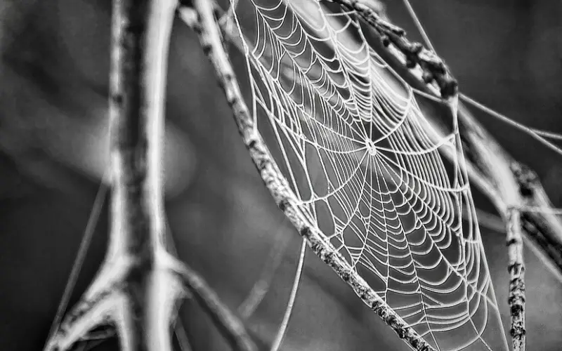 连网易云都拉黑，女友的情感“db”！