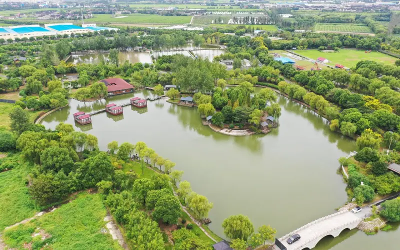 “都挺好”？这样的婚姻让我好不了！