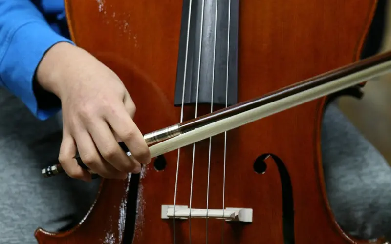 专家教你么么哒