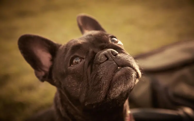 详解唇吻和舌吻步骤，学会了把妹子吻的不要不要的