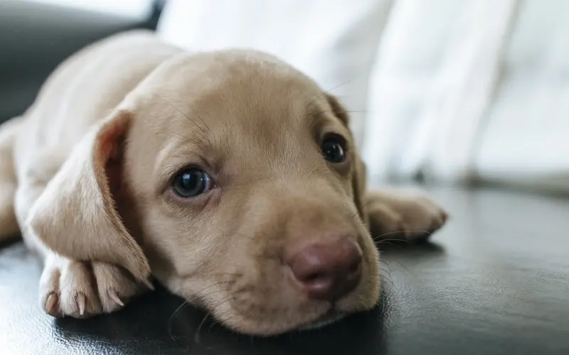 爆准测试！看看你的另一半在想什么？