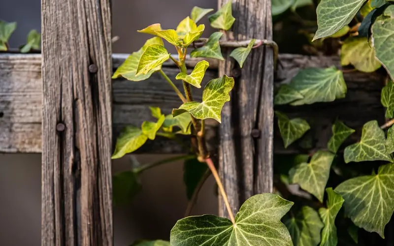 面对指责型爱人，挽回后你该如何做才能巩固好感情？