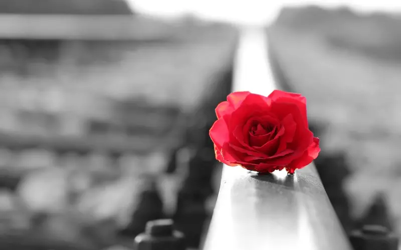 失恋不可怕，情感专家教你如何度过失恋期