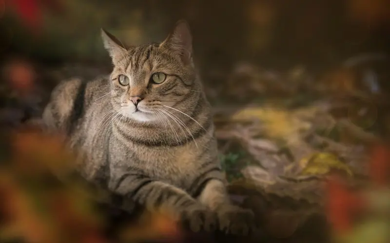 缘分是一种奇妙的情感