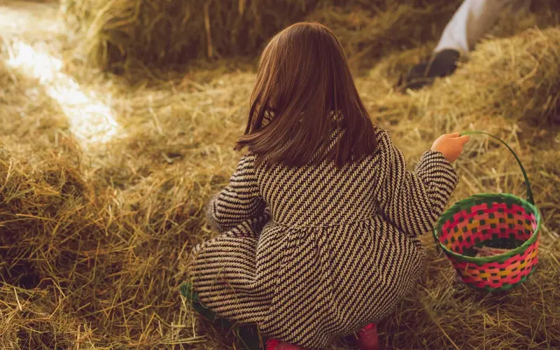 寻找同行人！冷爱诚召