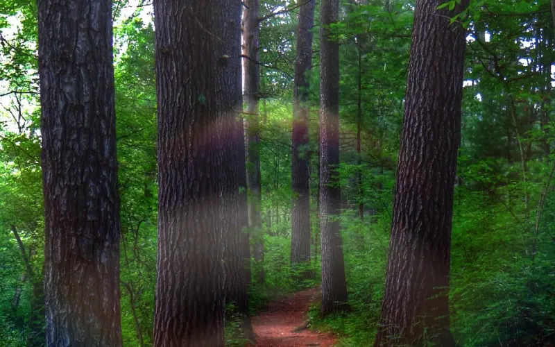 “女人对男人动了真情，装不了的五个表现，错过难在来”