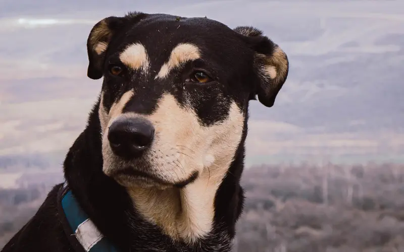 女人对男人没兴趣的五个表现！