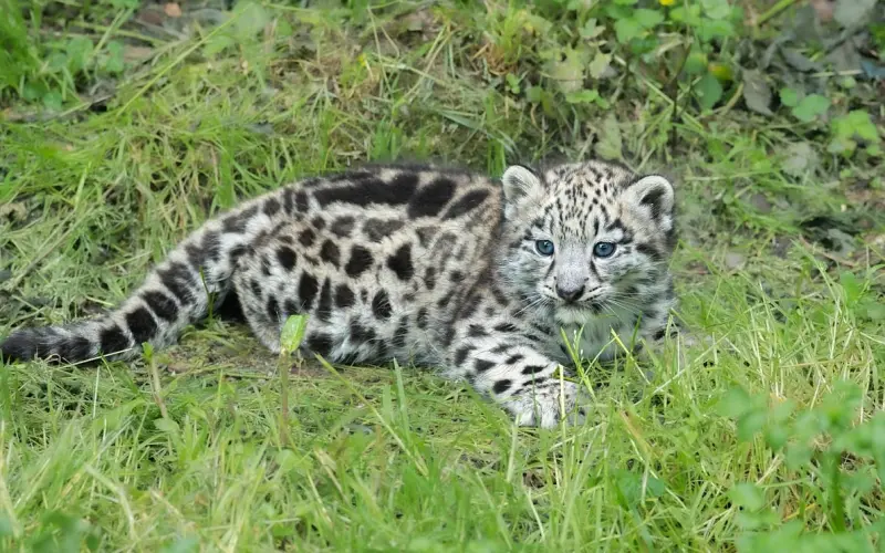 老公有外遇后还爱你的五种表现