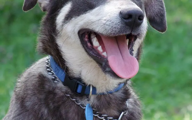 五招挽回男人的心，让他回心转意