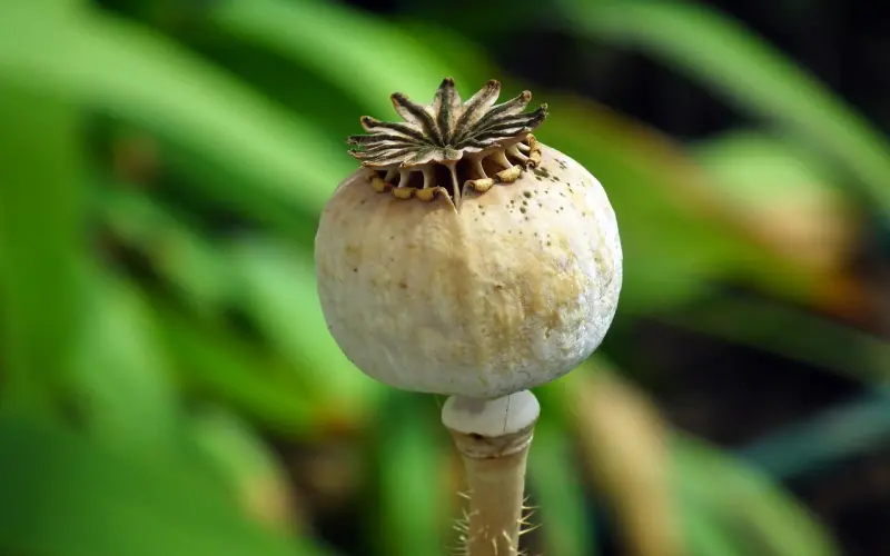 互撩|男生是如何看待身材好的女生的？