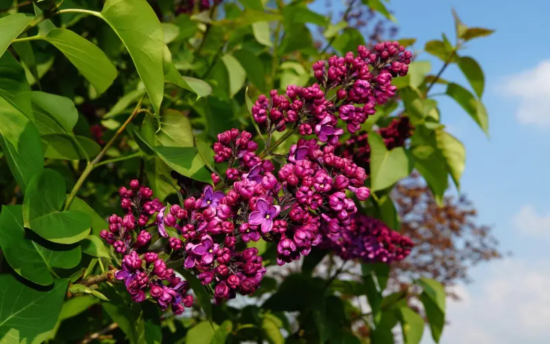 花镇情感：复合后感情再起波澜该如何应对