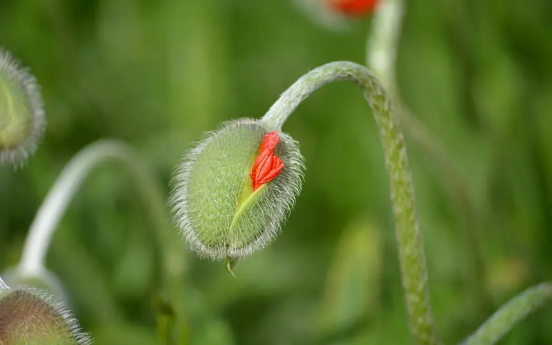 花镇情感：为什么你的感情破裂