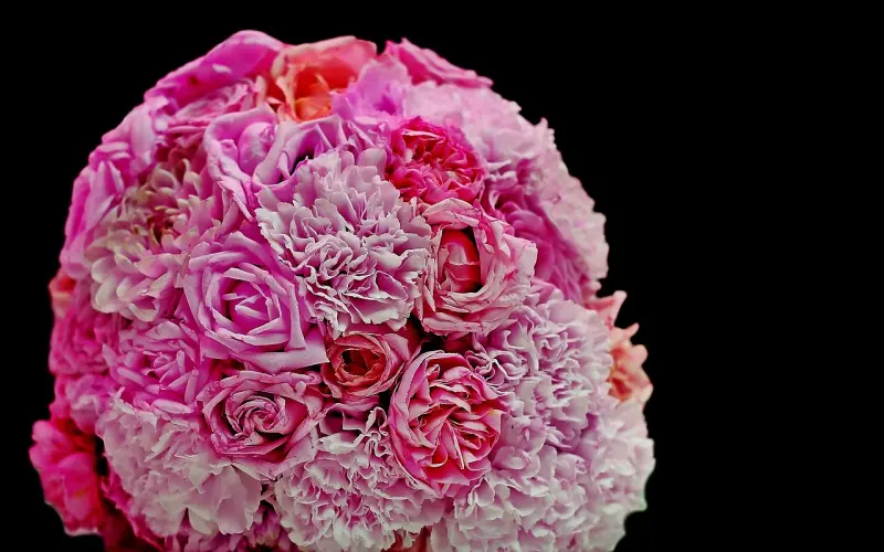 花镇情感：为什么你的感情破裂