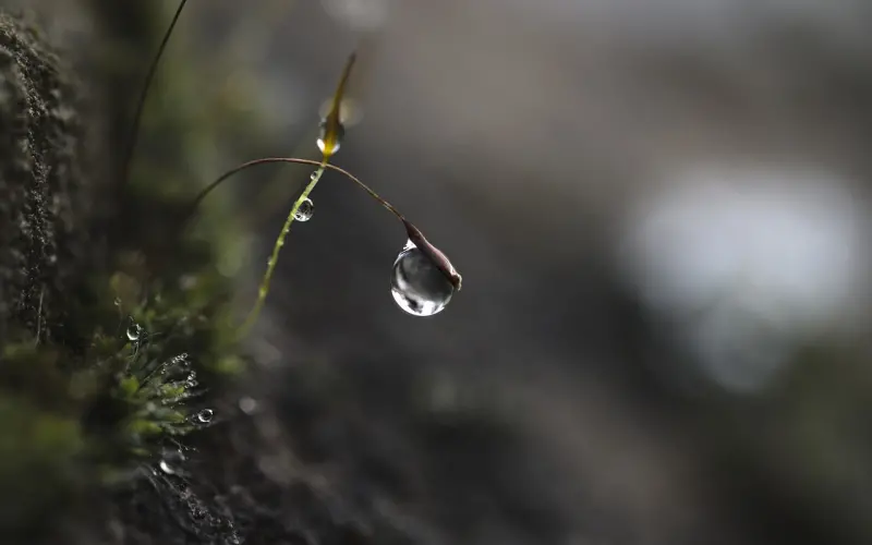 聚焦：情感行业的飞速发展