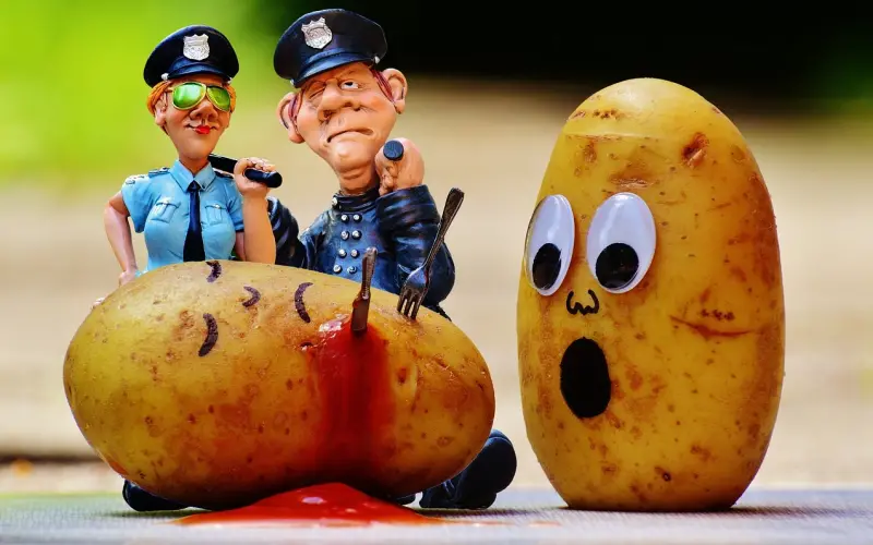 「 后续 」如何谋杀你的妻子