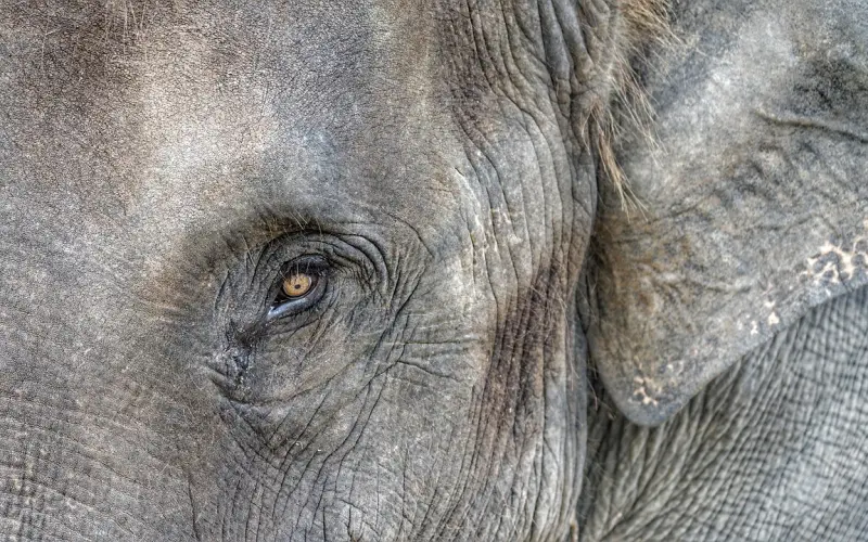 150期男主后续回音：只要能挽回，绝不犯同样错误...