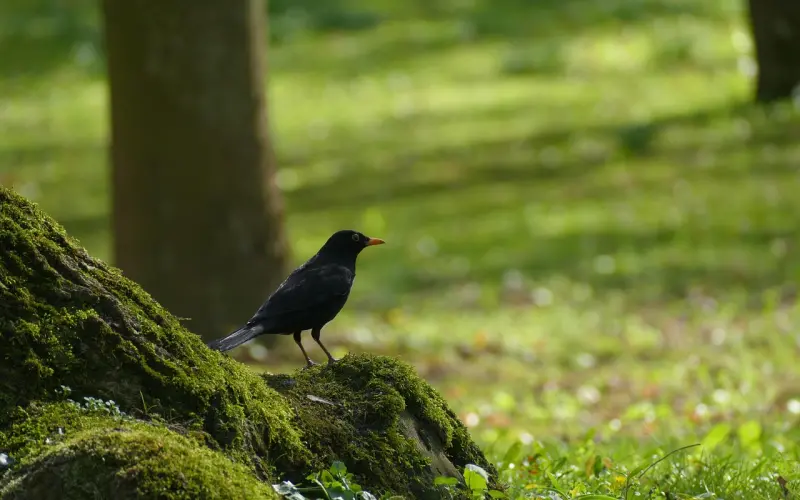 为了爱，他们用尽了洪荒之力...
