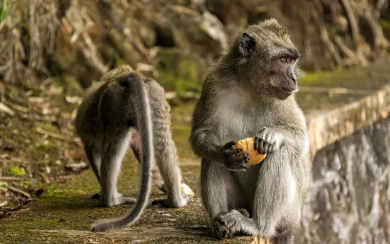 余生，只求相处不累。