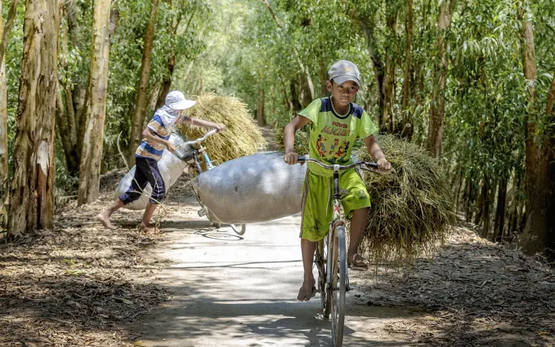 余生，找一个知你冷暖、懂你悲欢的人
