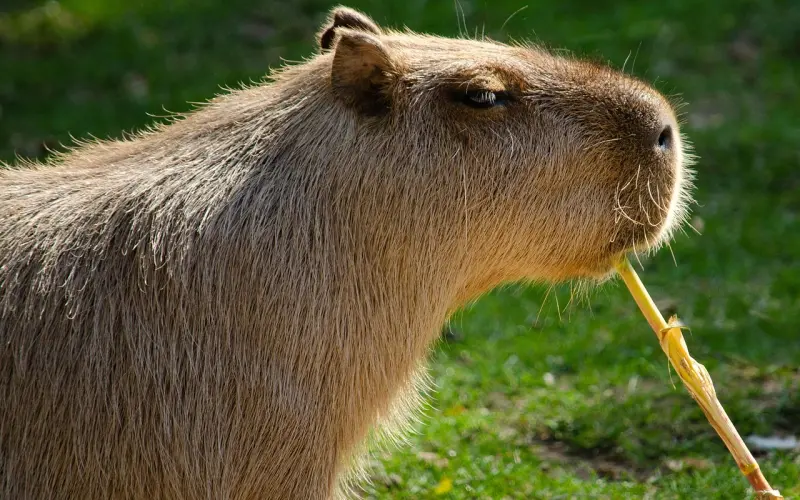 “为你好”可能是对爱情最大的误解！