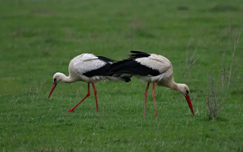 发现妹子对你暧昧？升级关系就靠这两个办法