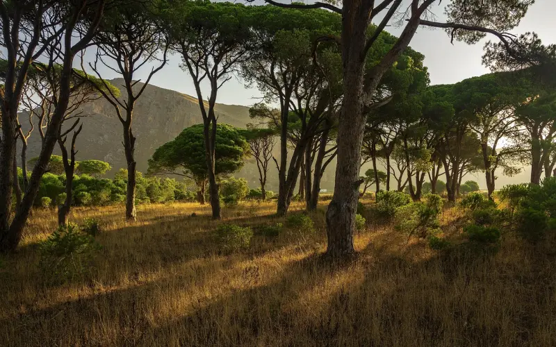 女人喜欢听的四句“肉麻”情话，比“宝贝我爱你”有用得多