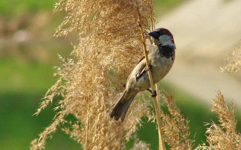 男生对你有好感的四大表现