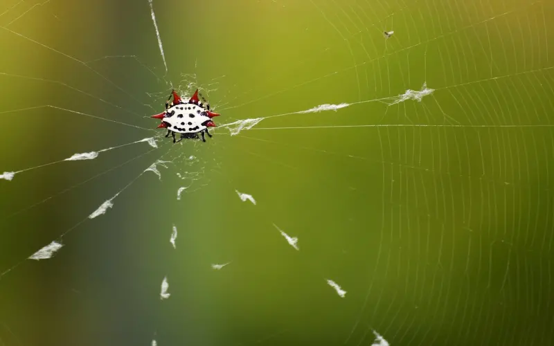 免费情感咨询案例：异地恋女友说累了，我该如何挽回她？