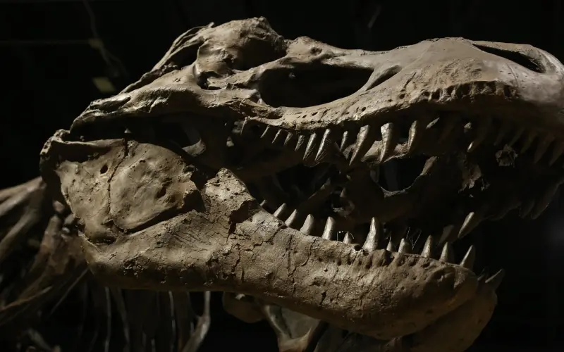 从经营爱情到挽回前任，你要手握三个核武器