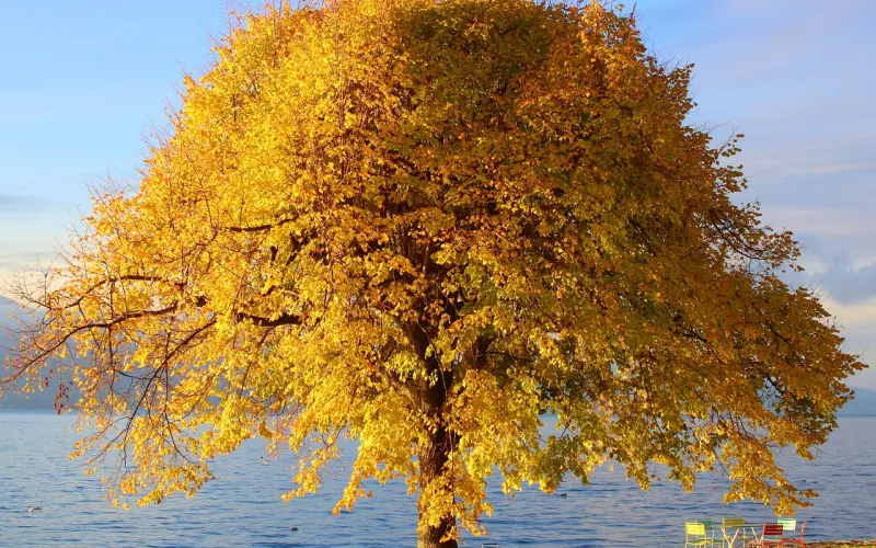 从无话不谈到只通话5分钟 | 没话时不要找话，而要找感觉