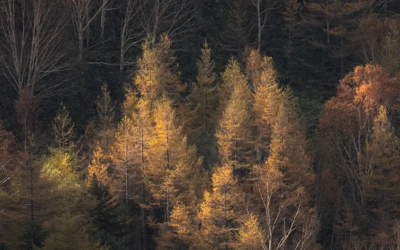 撩妹从这3个细节，判断她是不是真的在乎你