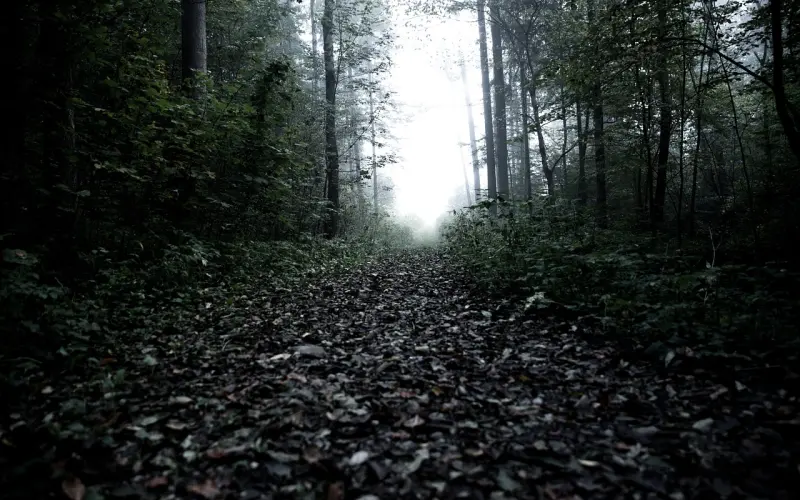 从很想要，到不需要