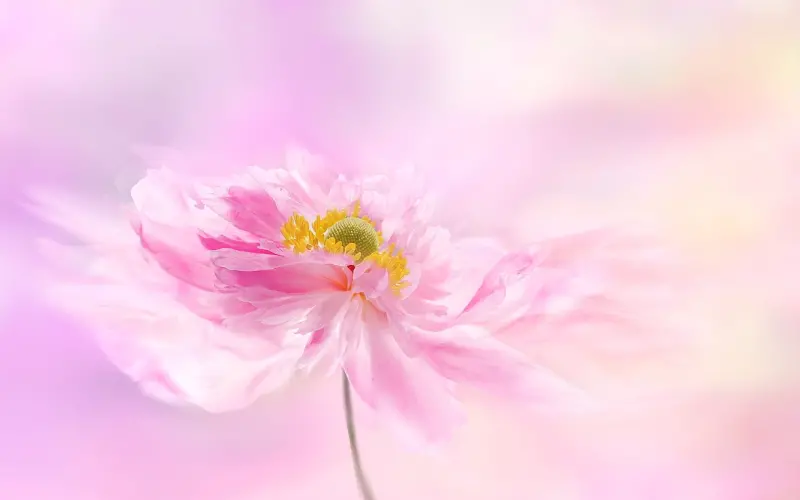 从那些细节能看出对方在说谎？