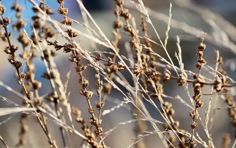 干住女神，你要懂她的小心思！