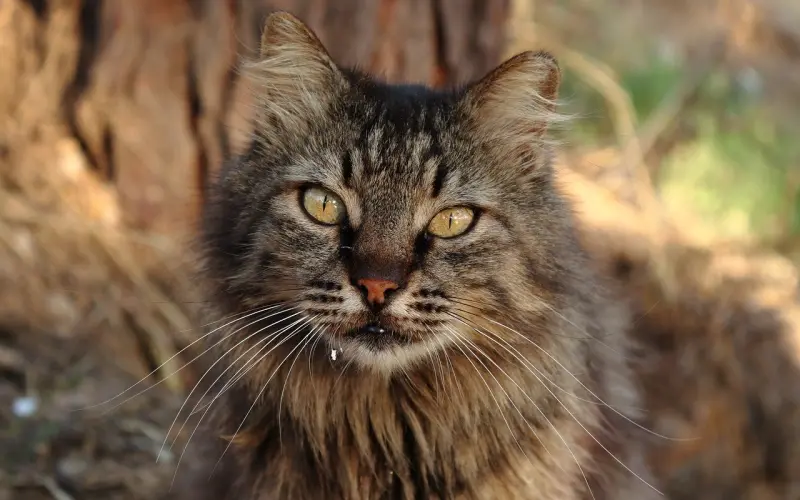 摆脱男人的控制，不做低眉顺眼的女人！