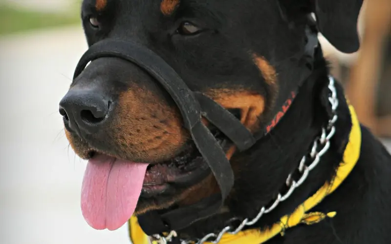 挽回出轨的老公：只需要这三步，让你们重归于好