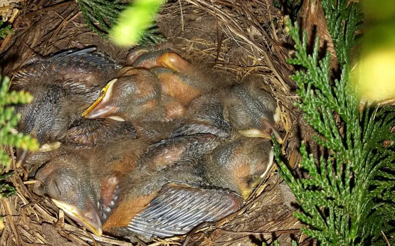 挽回女友，学会这些招数女友马上原谅我