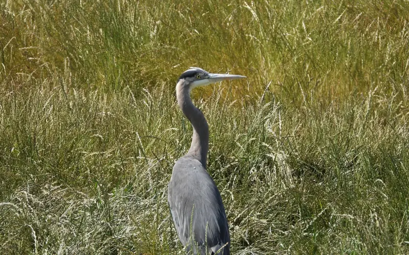 挽回前任：当提出复合要求被拒绝该怎么做